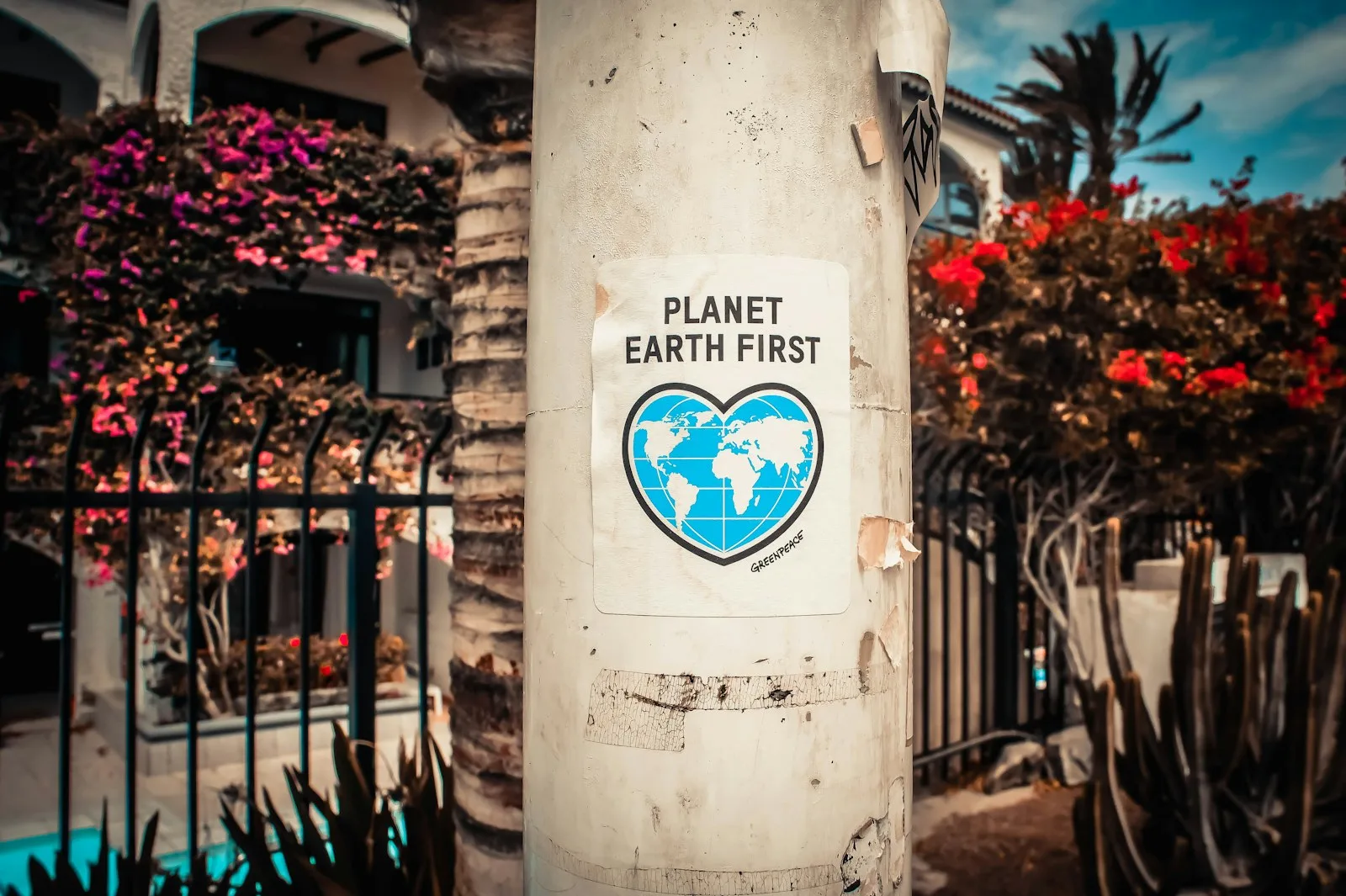 A sign on a pillar on the road stating “Plane Earth First”