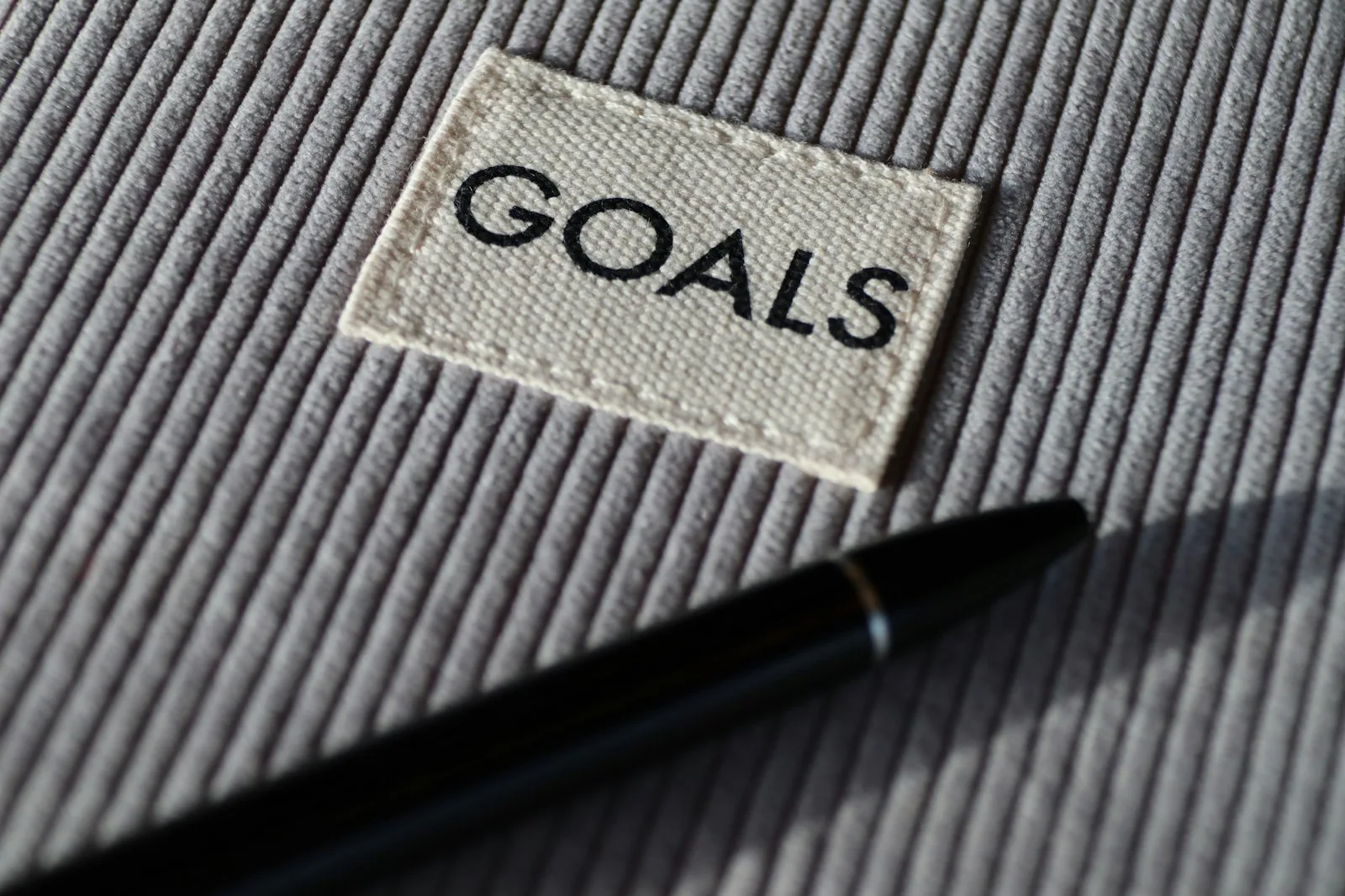 Photo of the word “GOALS” written over a piece of fabric