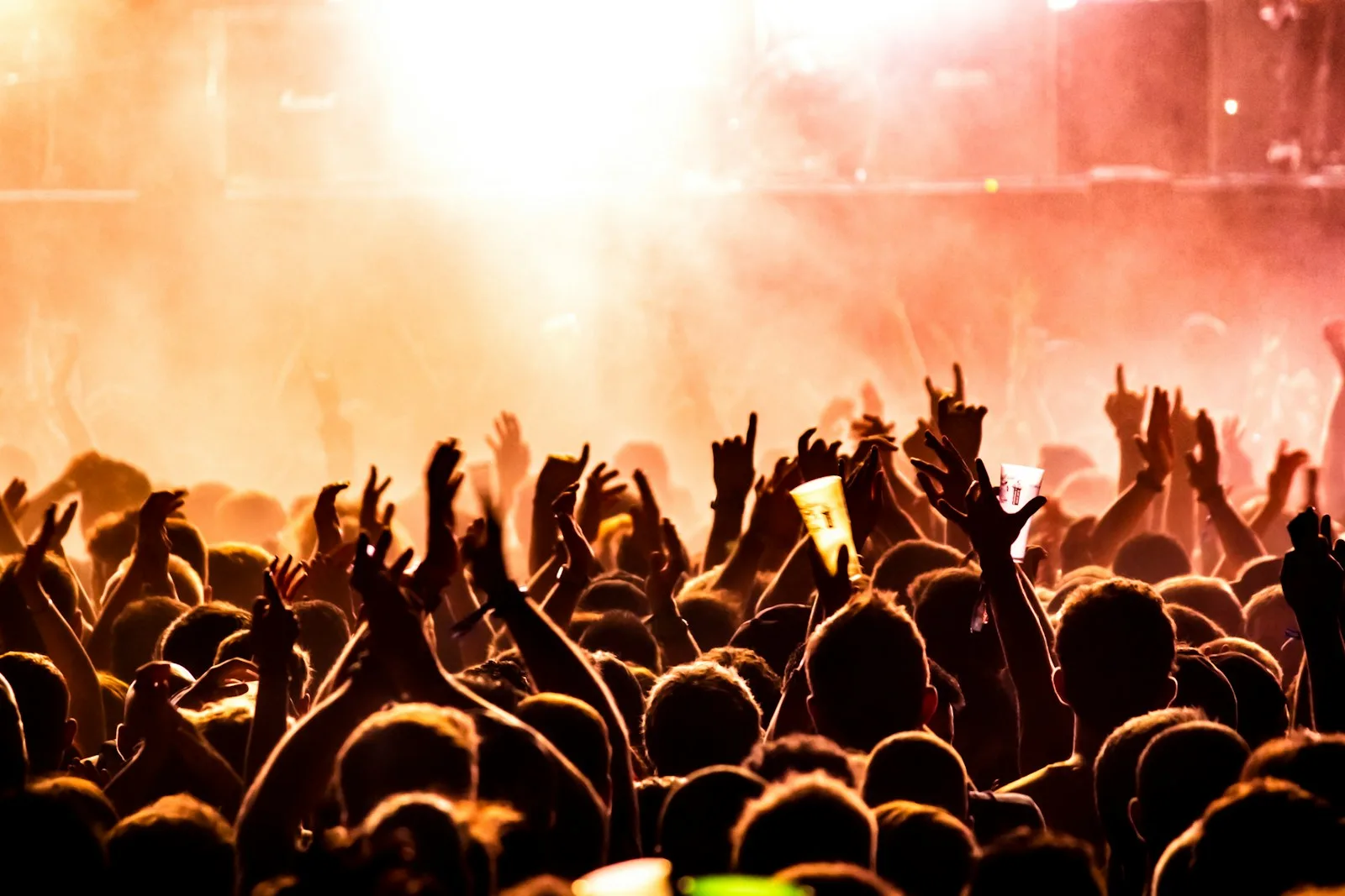 People enjoying at a concert as a form of entertainment which although super fun to be part of, if overdone can be devastating in terms of financial stability