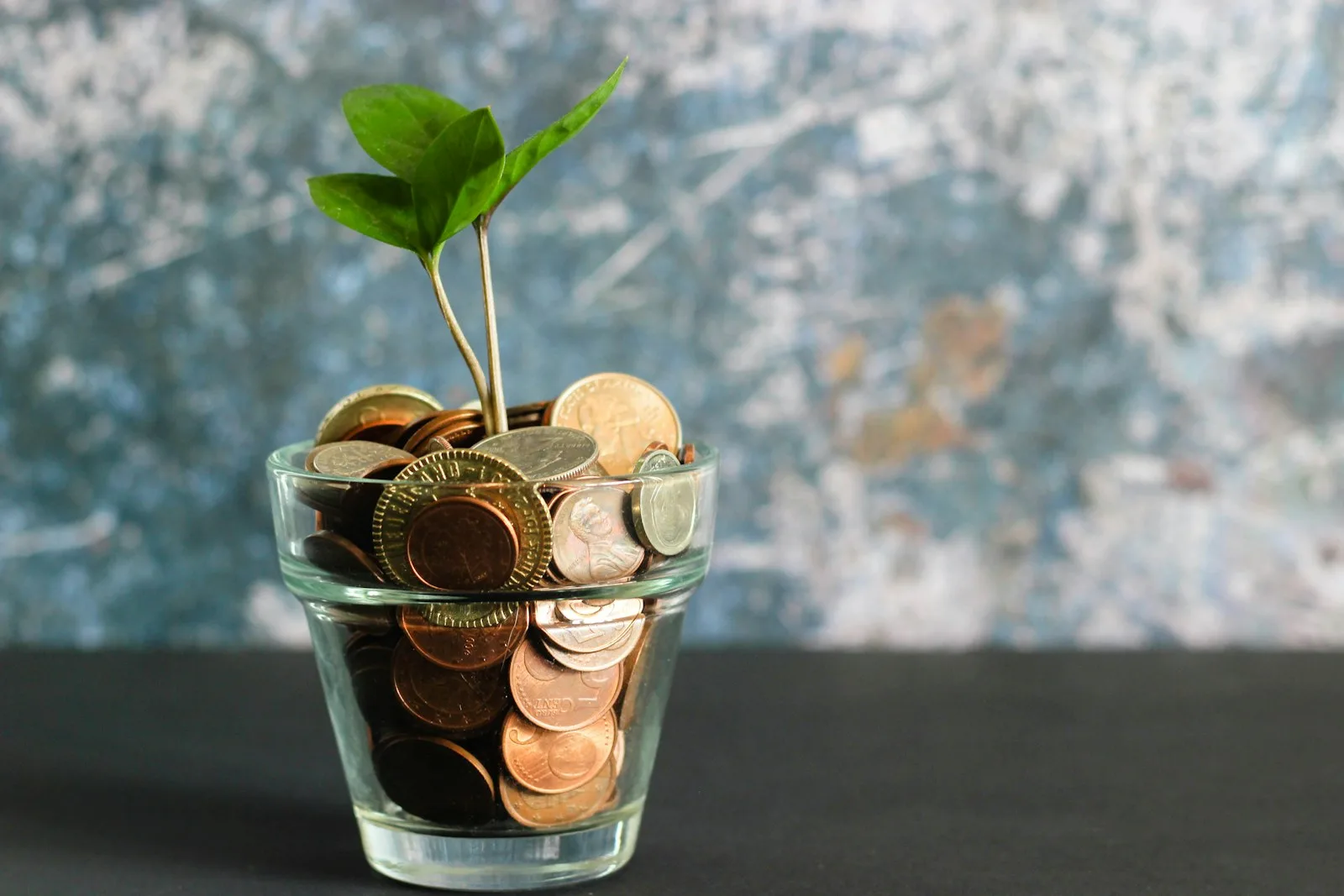 Photo of a plant sapling coming out of a bowl of coins. Showing signs of financial growth