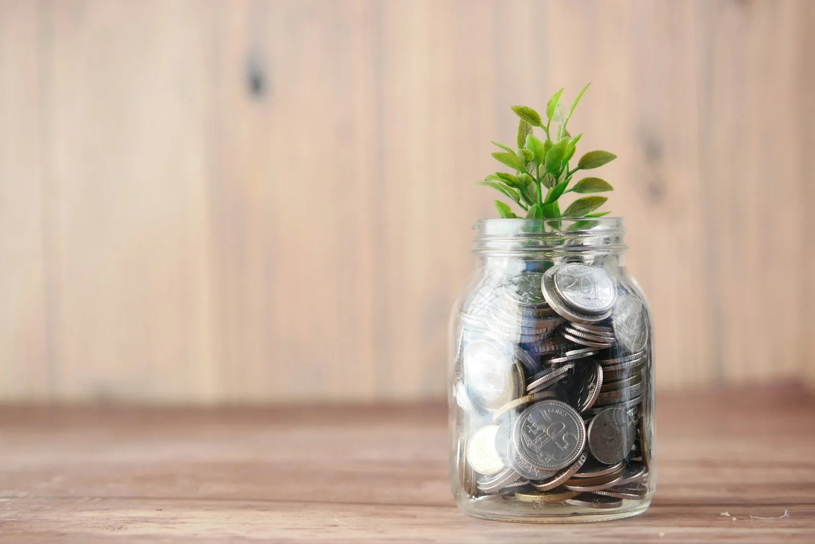 Image of a jar with coins and an artificial plant inside it.