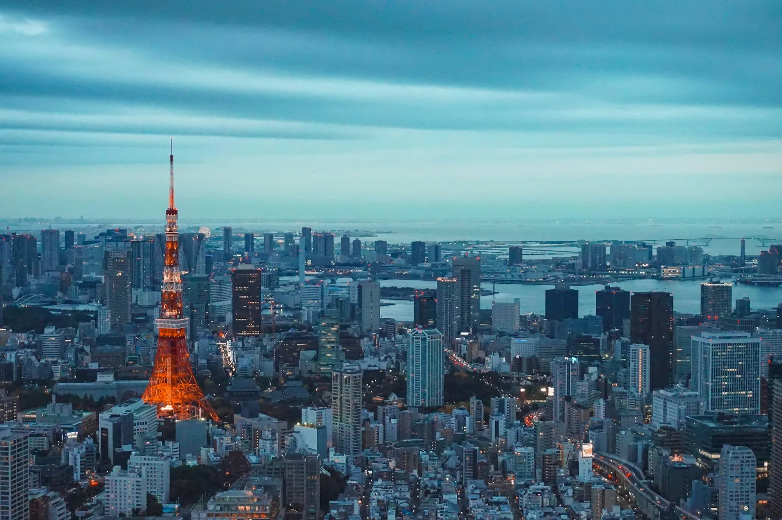Image showing the entire city of Tokyo