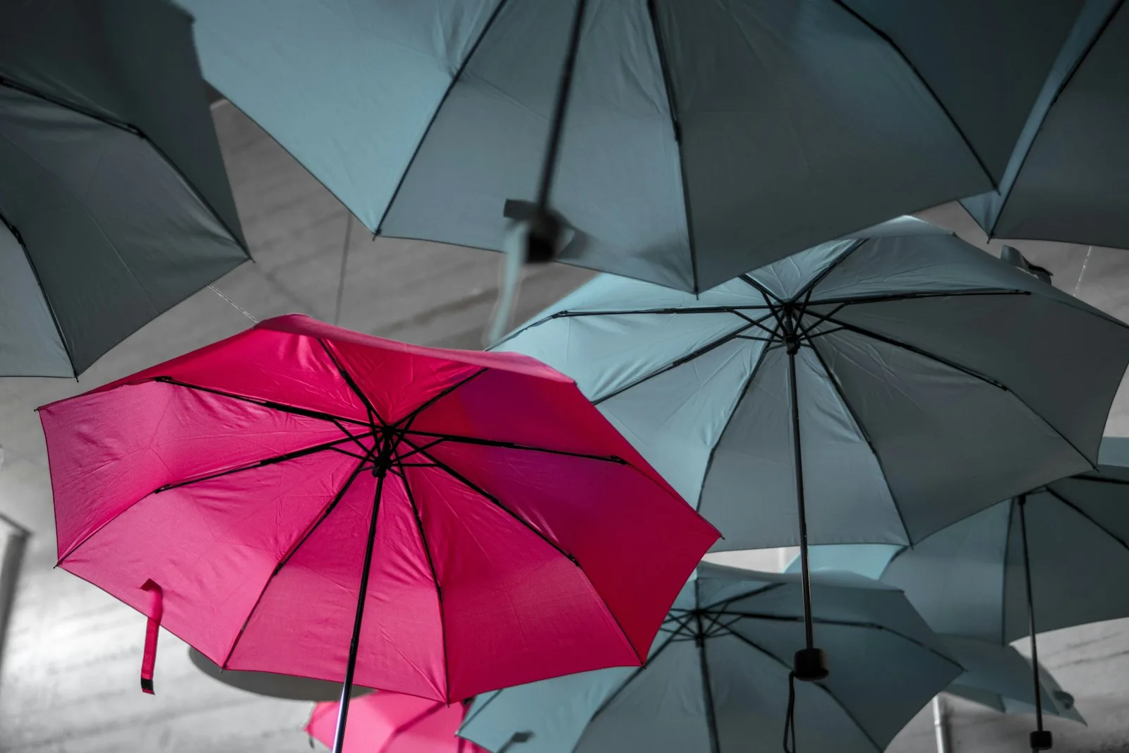 Photo of an umbrella in pink color that’s standing out from all the other grey ones