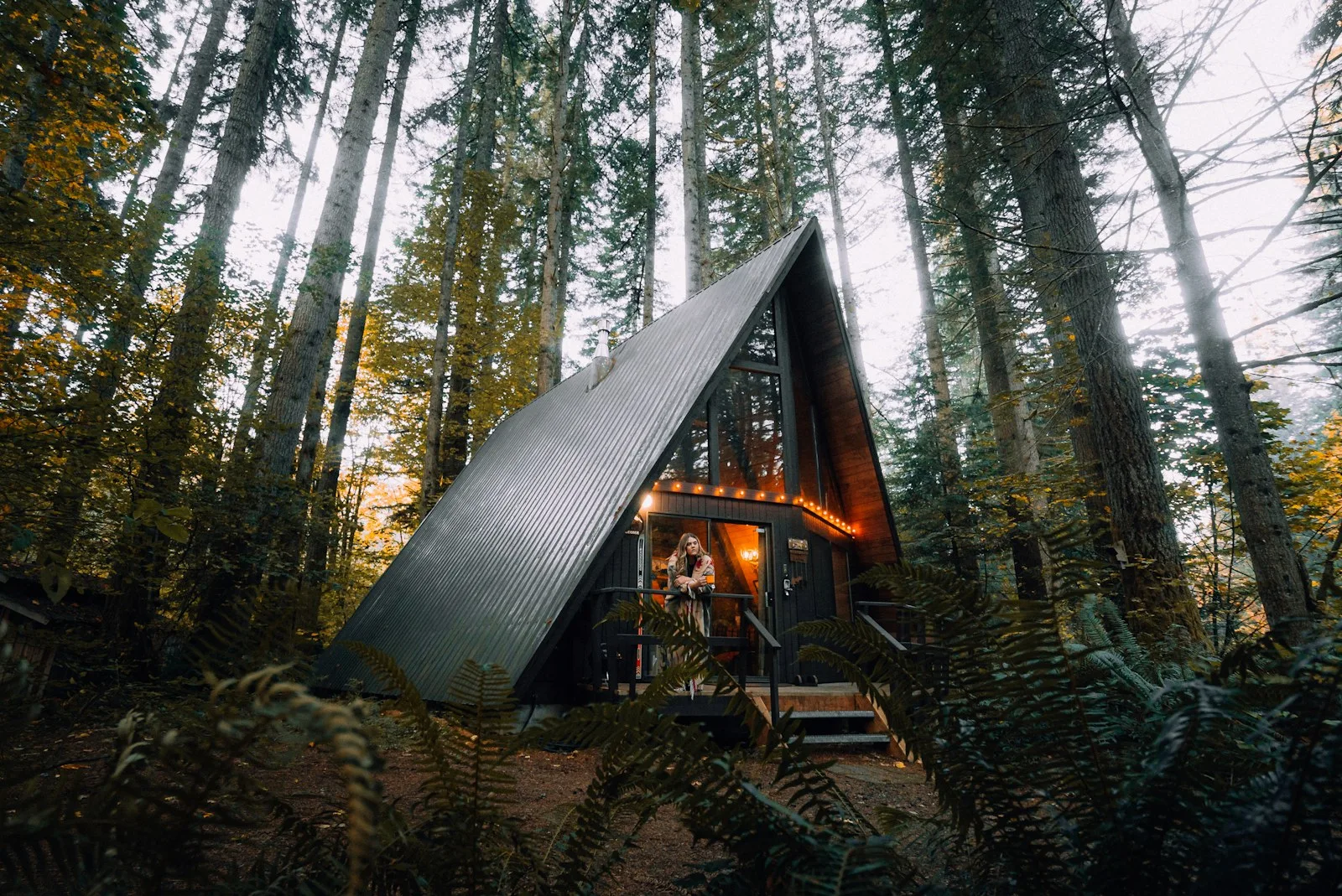 Image of an accomodation in the middle of the forest
