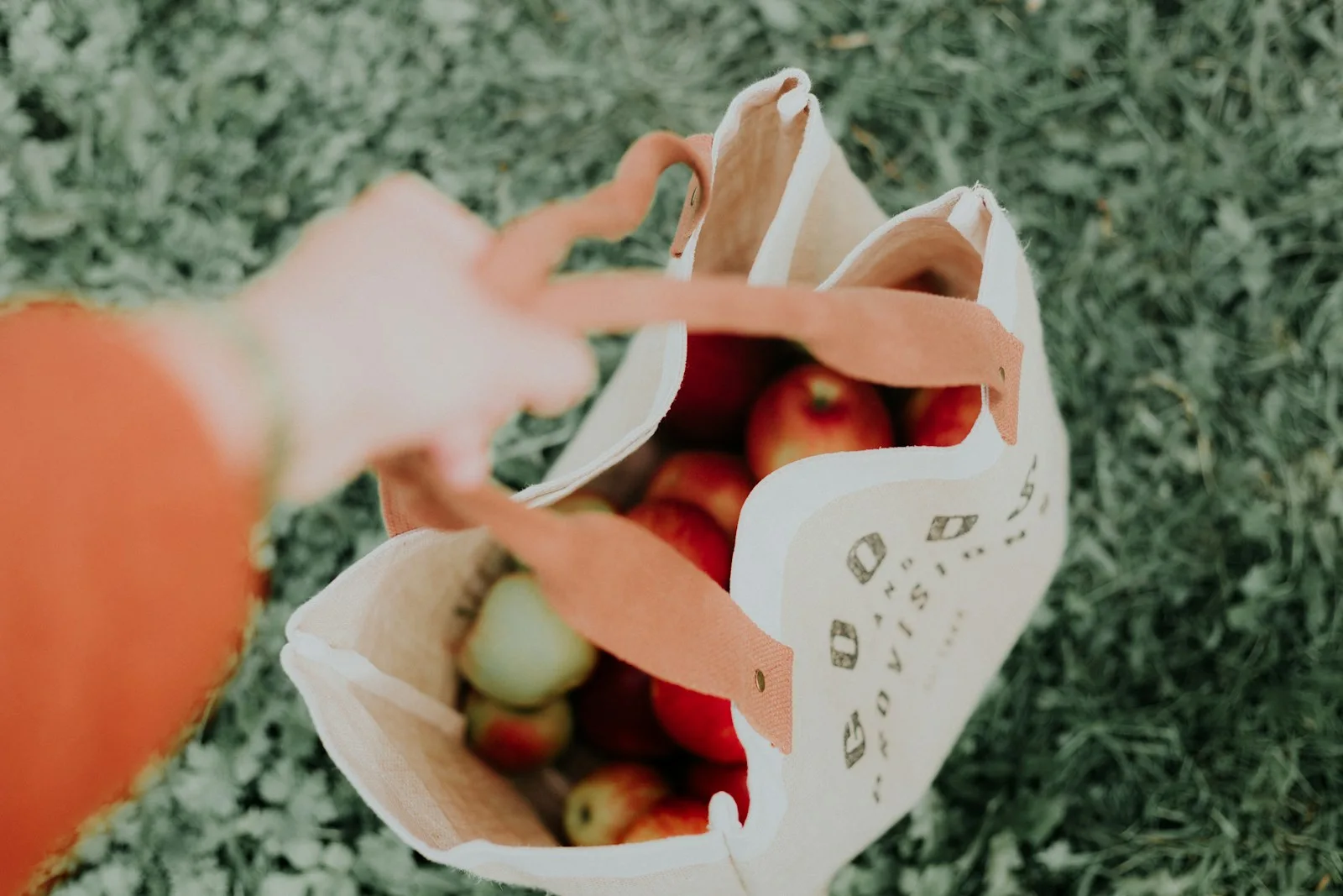 Photo of a person carrying a bio-degradable bag while doing grocery shopping. Something that would save purchasing a new bag and is also eco-friendly.