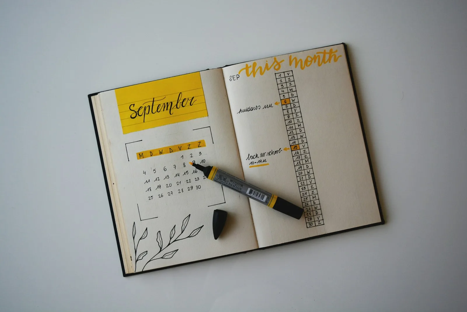 A person creating a routine for their financial care
