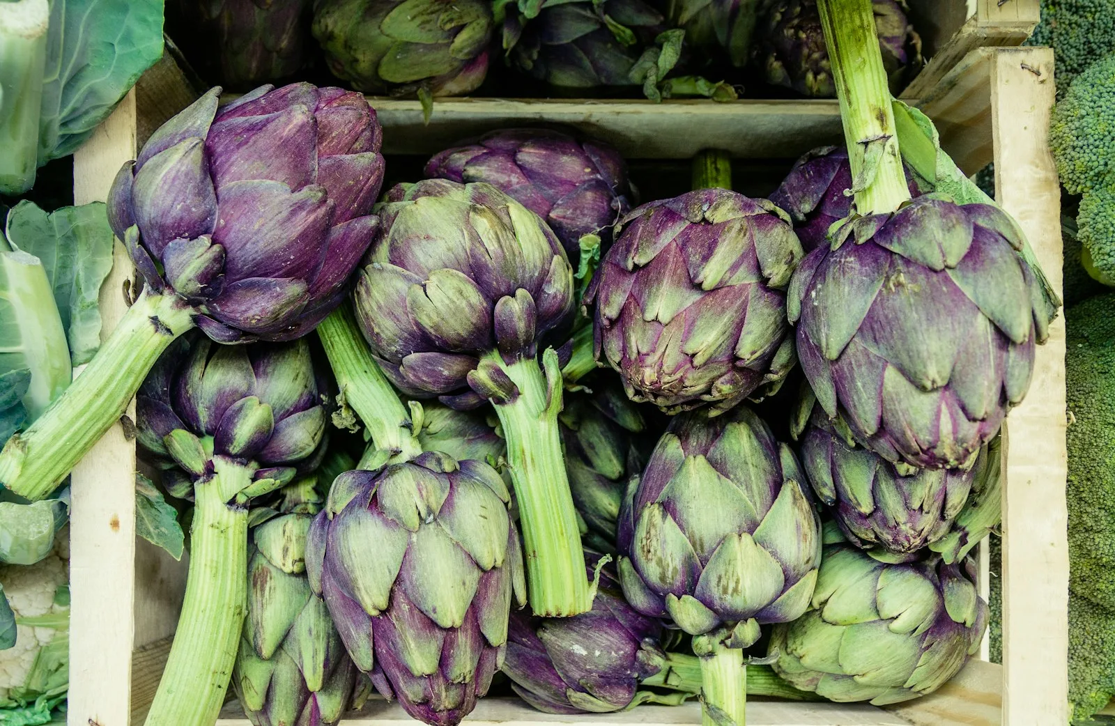 Vegetables in a basket